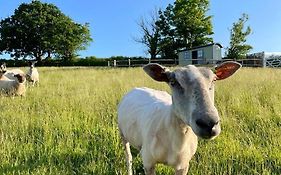 Luxury Shepherd Hut On Small South Hams Farm, Devon